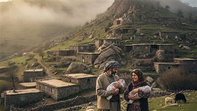 قصة فاتو والبقرة الصفراء
